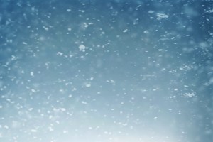 shutterstock_308364065