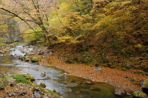 Silent River: Autumn in Taisyaku-Ravine '07 by Giyu (Velvia) is licensed under CC BY 2.)